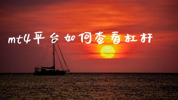 mt4平台如何查看杠杆_https://wap.78312.cn_金融监管_第1张