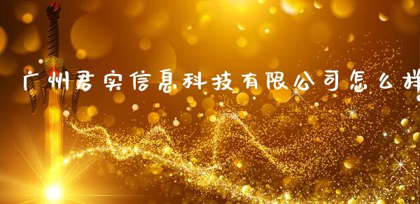 广州君实信息科技有限公司怎么样_https://wap.78312.cn_金融监管_第1张