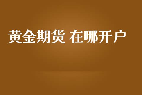 黄金期货 在哪开户_https://wap.78312.cn_财经新闻_第1张