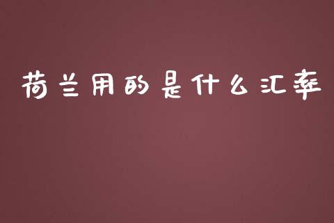 荷兰用的是什么汇率_https://wap.78312.cn_金融监管_第1张