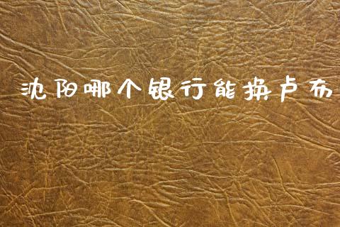 沈阳哪个银行能换卢布_https://wap.78312.cn_财经新闻_第1张