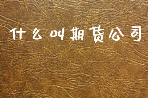 什么叫期货公司_https://wap.78312.cn_全球市场_第1张