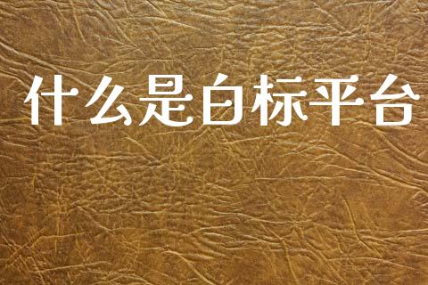 什么是白标平台_https://wap.78312.cn_金融监管_第1张