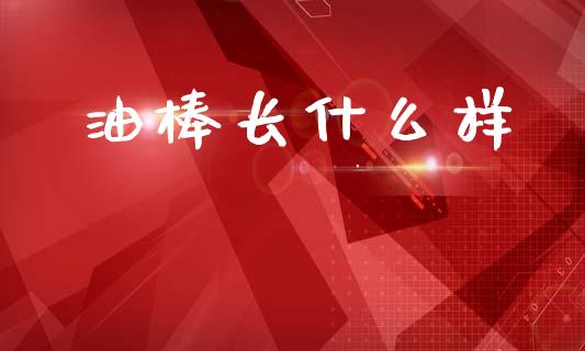 油棒长什么样_https://wap.78312.cn_财经新闻_第1张