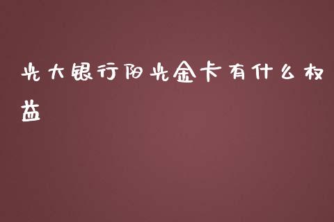 光大银行阳光金卡有什么权益_https://wap.78312.cn_金融监管_第1张