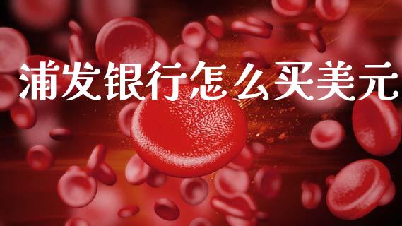 浦发银行怎么买美元_https://wap.78312.cn_债券资讯_第1张