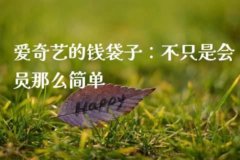 爱奇艺的钱袋子：不只是会员那么简单_https://wap.78312.cn_外汇交易_第1张