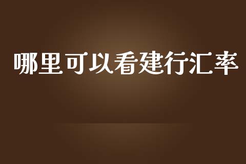 哪里可以看建行汇率_https://wap.78312.cn_外汇交易_第1张