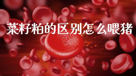 菜籽粕的区别怎么喂猪_https://wap.78312.cn_全球市场_第1张