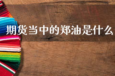 期货当中的郑油是什么_外汇交易_第1张_期货开户_金融监管_外汇交易_债券资讯_全球市场_财经新闻 期货当中的郑油是什么_https://wap.78312.cn_外汇交易_第1张