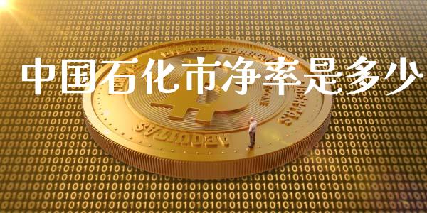 中国石化市净率是多少_https://wap.78312.cn_金融监管_第1张