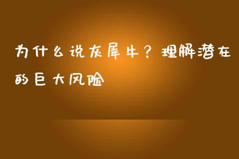 为什么说灰犀牛？理解潜在的巨大风险_https://wap.78312.cn_期货开户_第1张