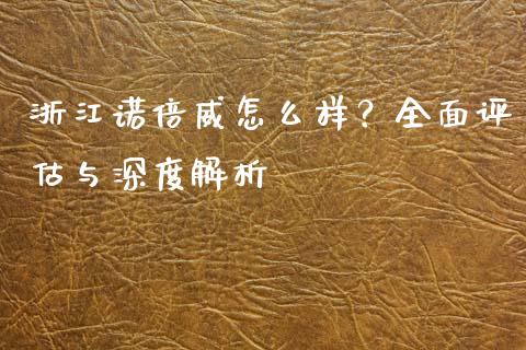 浙江诺倍威怎么样？全面评估与深度解析_https://wap.78312.cn_期货开户_第1张