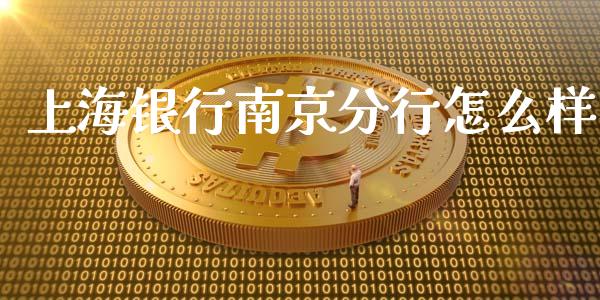 上海银行南京分行怎么样_https://wap.78312.cn_全球市场_第1张
