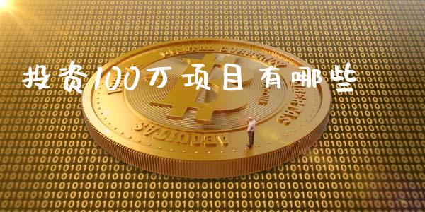 投资100万项目有哪些_https://wap.78312.cn_金融监管_第1张
