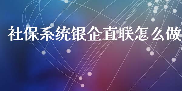 社保系统银企直联怎么做_https://wap.78312.cn_金融监管_第1张