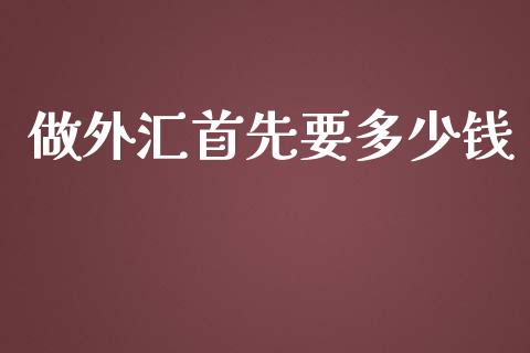 做外汇首先要多少钱_https://wap.78312.cn_期货开户_第1张