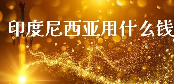 印度尼西亚用什么钱_https://wap.78312.cn_外汇交易_第1张