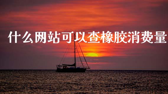 什么网站可以查橡胶消费量_https://wap.78312.cn_外汇交易_第1张