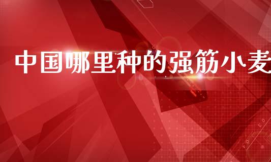 中国哪里种的强筋小麦_https://wap.78312.cn_财经新闻_第1张