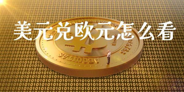美元兑欧元怎么看_https://wap.78312.cn_全球市场_第1张