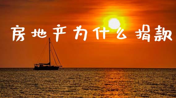 房地产为什么捐款_https://wap.78312.cn_全球市场_第1张