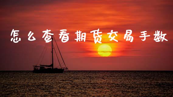怎么查看期货交易手数_https://wap.78312.cn_金融监管_第1张