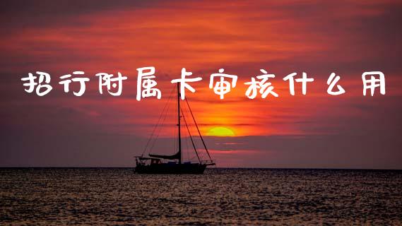 招行附属卡审核什么用_https://wap.78312.cn_财经新闻_第1张