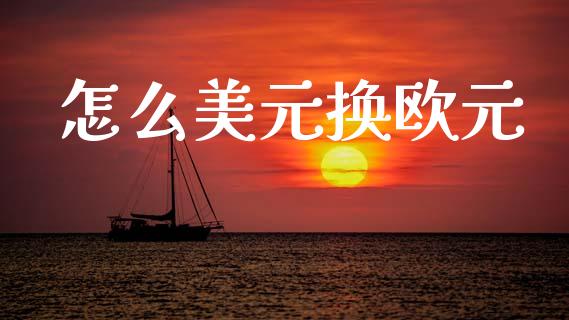 怎么美元换欧元_https://wap.78312.cn_全球市场_第1张