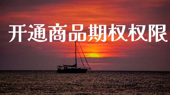 开通商品期权权限_https://wap.78312.cn_全球市场_第1张