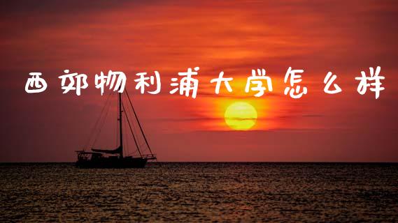 西郊物利浦大学怎么样_https://wap.78312.cn_全球市场_第1张