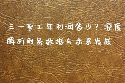 三一重工年利润多少？深度解析财务数据与未来发展_https://wap.78312.cn_外汇交易_第1张