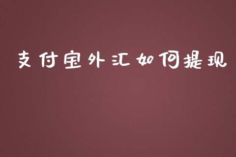 支付宝外汇如何提现_https://wap.78312.cn_期货开户_第1张