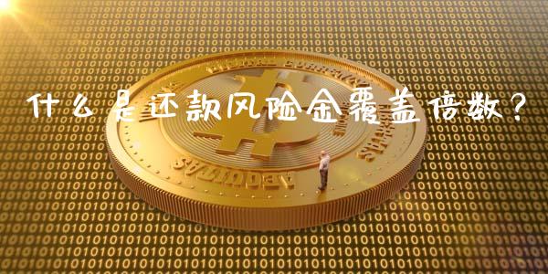 什么是还款风险金覆盖倍数？_https://wap.78312.cn_全球市场_第1张