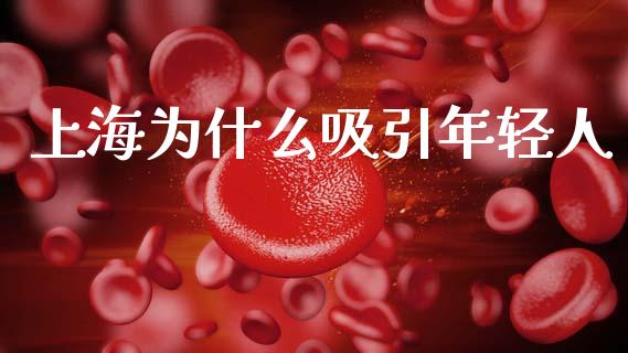 上海为什么吸引年轻人_https://wap.78312.cn_全球市场_第1张