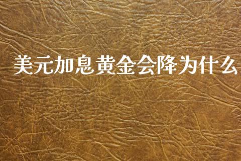 美元加息黄金会降为什么_https://wap.78312.cn_债券资讯_第1张