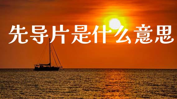 先导片是什么意思_https://wap.78312.cn_外汇交易_第1张
