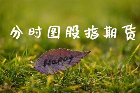 分时图股指期货_https://wap.78312.cn_外汇交易_第1张