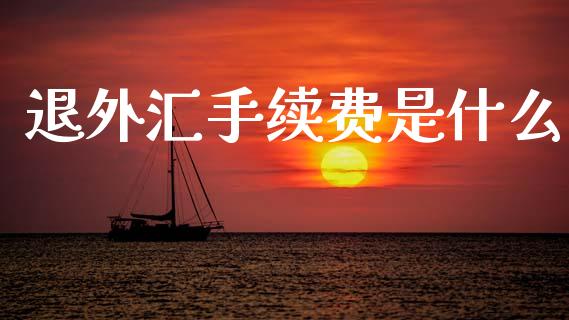 退外汇手续费是什么_https://wap.78312.cn_财经新闻_第1张