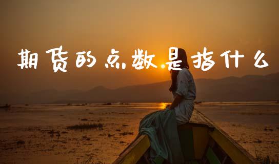 期货的点数是指什么_https://wap.78312.cn_外汇交易_第1张