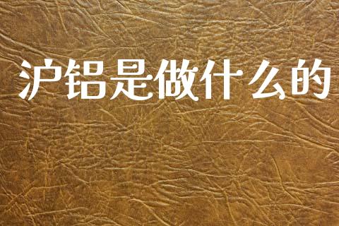 沪铝是做什么的_https://wap.78312.cn_外汇交易_第1张