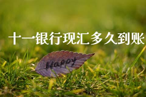 十一银行现汇多久到账_https://wap.78312.cn_外汇交易_第1张