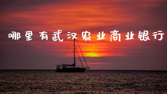 哪里有武汉农业商业银行_https://wap.78312.cn_全球市场_第1张