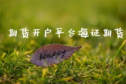 期货开户平台海证期货_https://wap.78312.cn_外汇交易_第1张