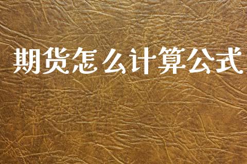 期货怎么计算公式_https://wap.78312.cn_债券资讯_第1张
