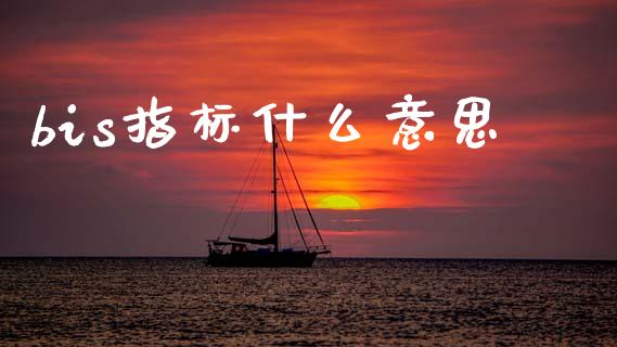 bis指标什么意思_https://wap.78312.cn_外汇交易_第1张