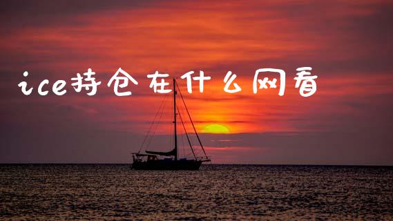 ice持仓在什么网看_https://wap.78312.cn_财经新闻_第1张
