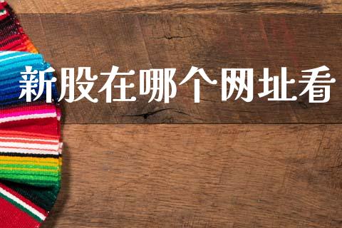 新股在哪个网址看_https://wap.78312.cn_财经新闻_第1张