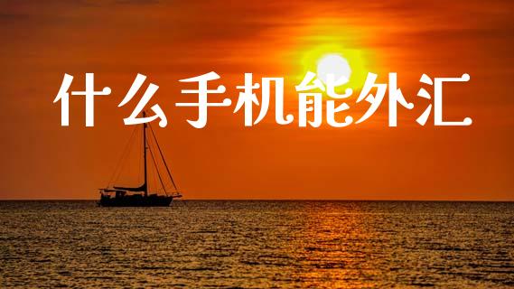什么手机能外汇_https://wap.78312.cn_外汇交易_第1张