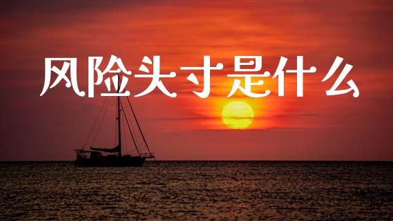 风险头寸是什么_https://wap.78312.cn_债券资讯_第1张